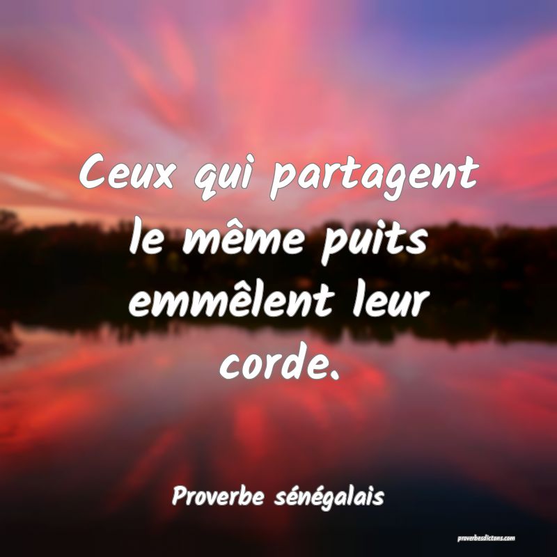  Ceux qui partagent le même puits emmêlent leur corde.