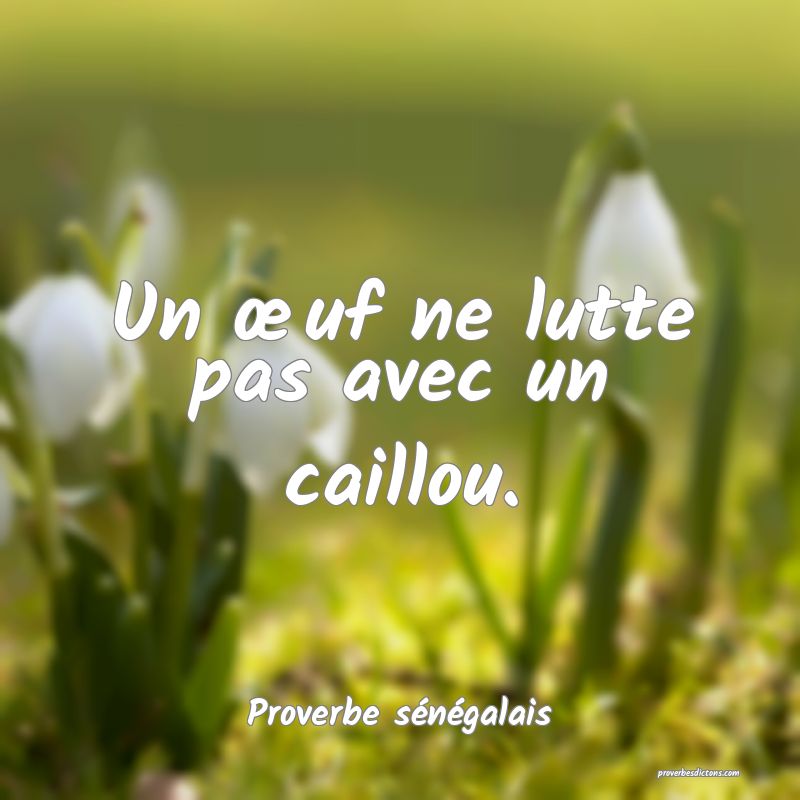  Un œuf ne lutte pas avec un caillou.