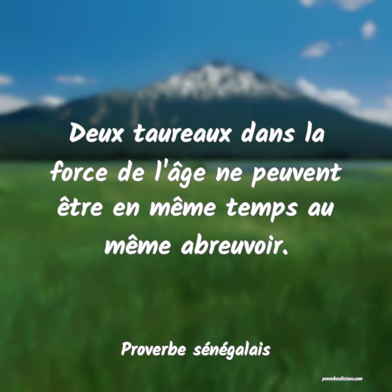  Deux taureaux dans la force de l'âge ne peuvent être en même temps au même abreuvoir.