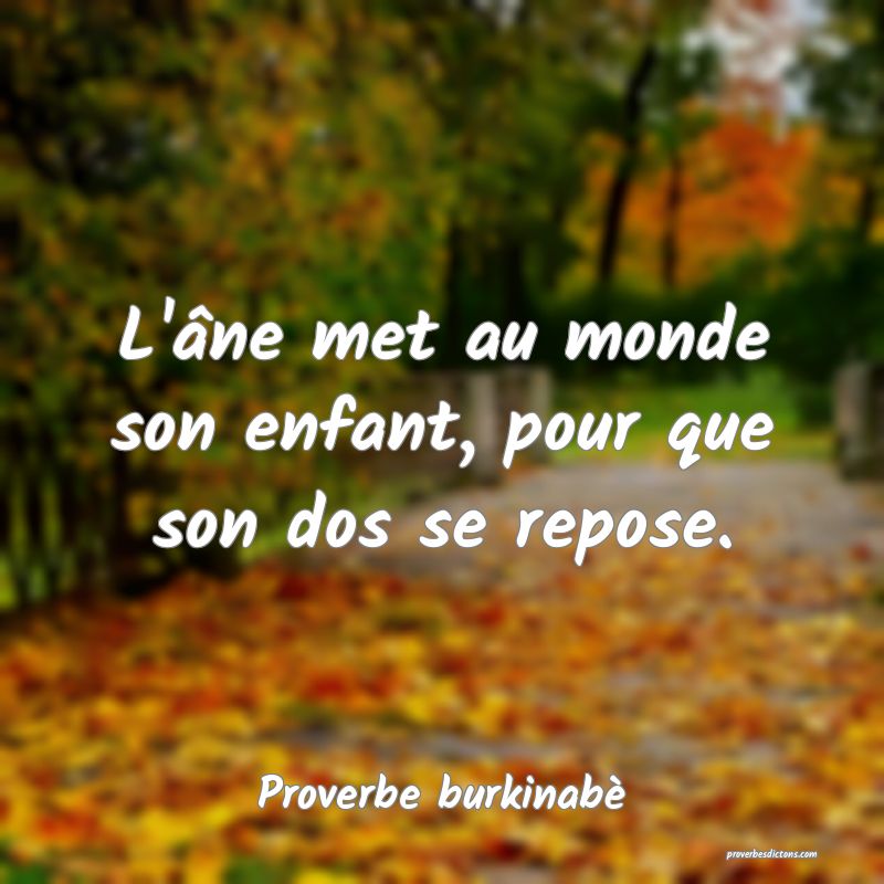  L'âne met au monde son enfant, pour que son dos se repose.