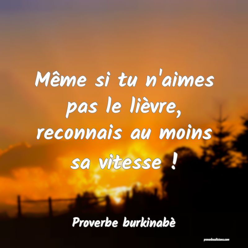  Même si tu n'aimes pas le lièvre, reconnais au moins sa vitesse !