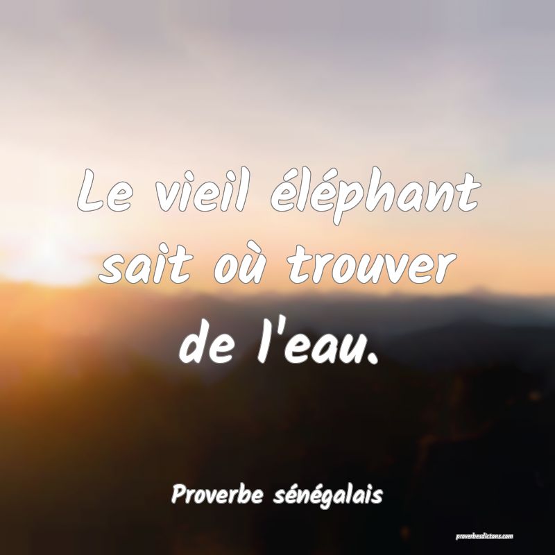  Le vieil éléphant sait où trouver de l'eau.