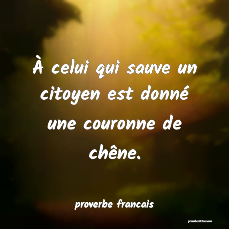  À celui qui sauve un citoyen est donné une couronne de chêne.