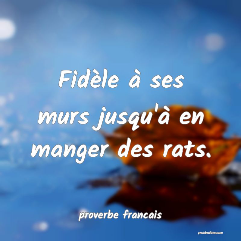  Fidèle à ses murs jusqu'à en manger des rats.