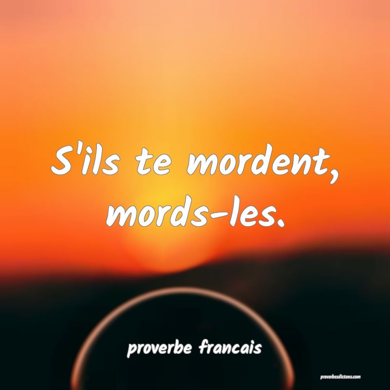  S'ils te mordent, mords-les.