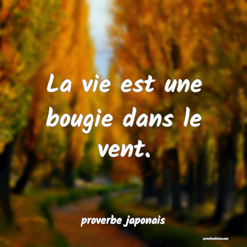  La vie est une bougie dans le vent.