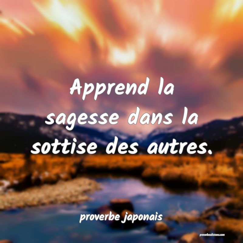  Apprend la sagesse dans la sottise des autres.