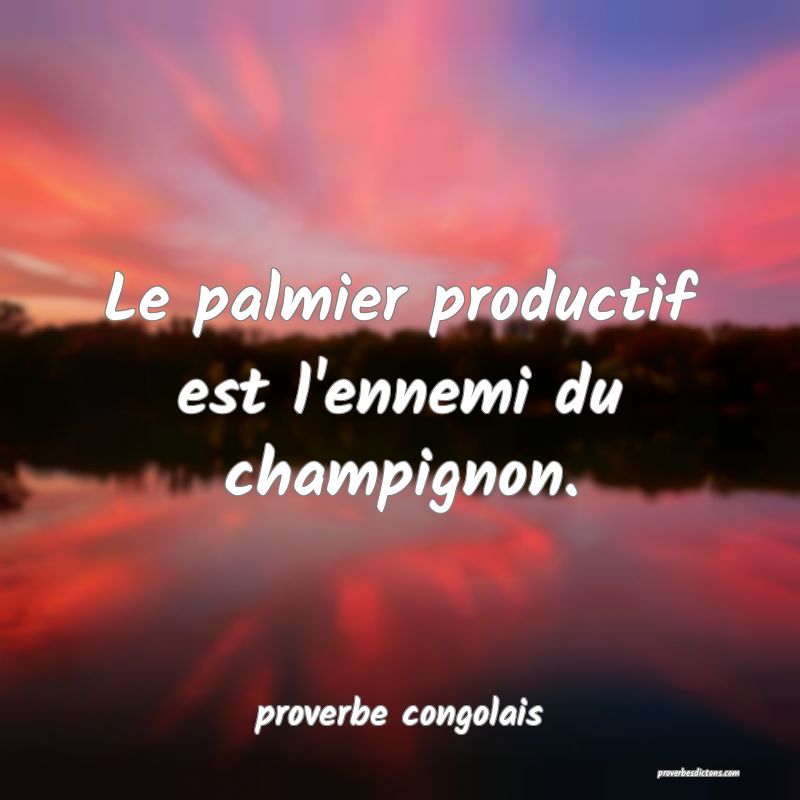  Le palmier productif est l'ennemi du champignon.