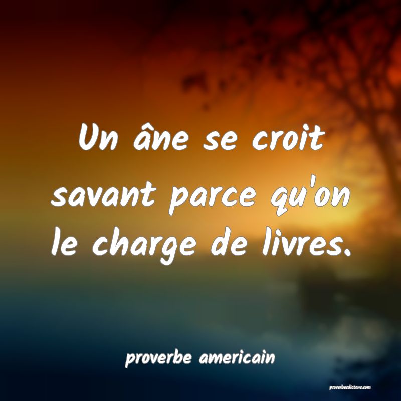  Un âne se croit savant parce qu'on le charge de livres.