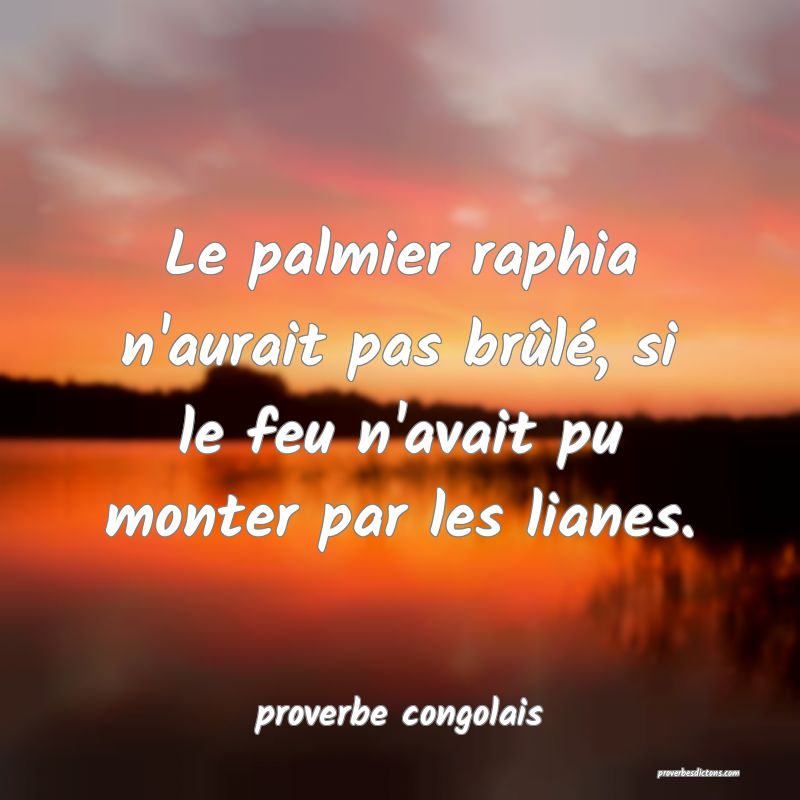  Le palmier raphia n'aurait pas brûlé, si le feu n'avait pu monter par les lianes.