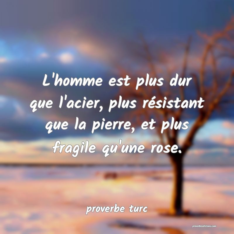  L'homme est plus dur que l'acier, plus résistant que la pierre, et plus fragile qu'une rose.