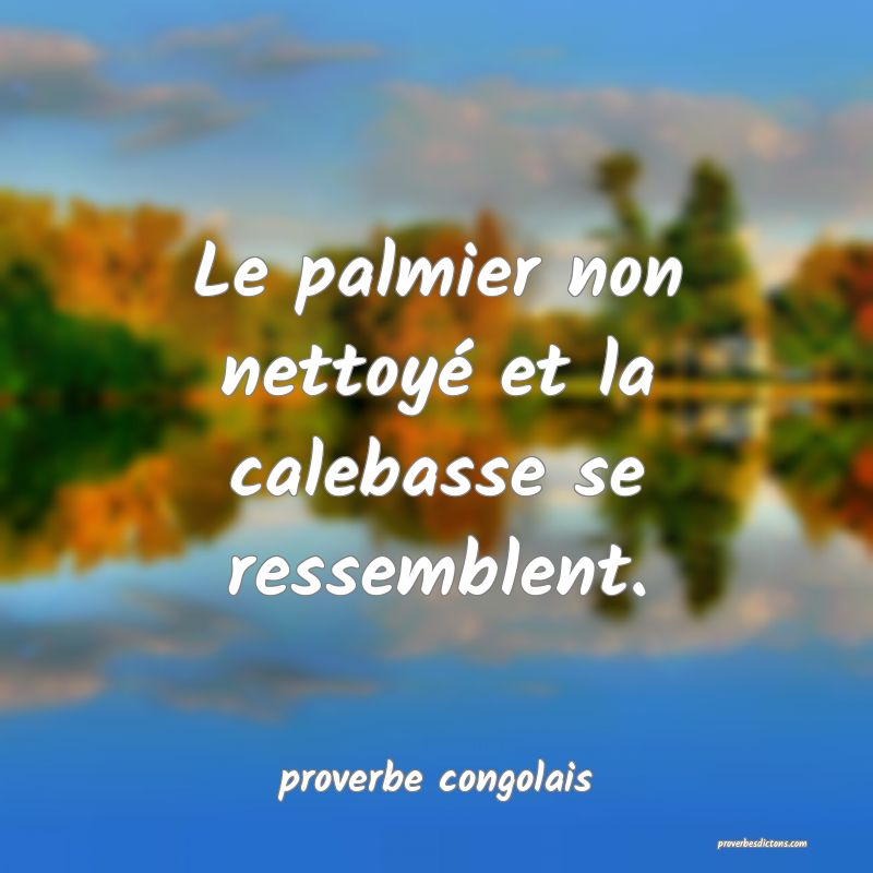  Le palmier non nettoyé et la calebasse se ressemblent.
