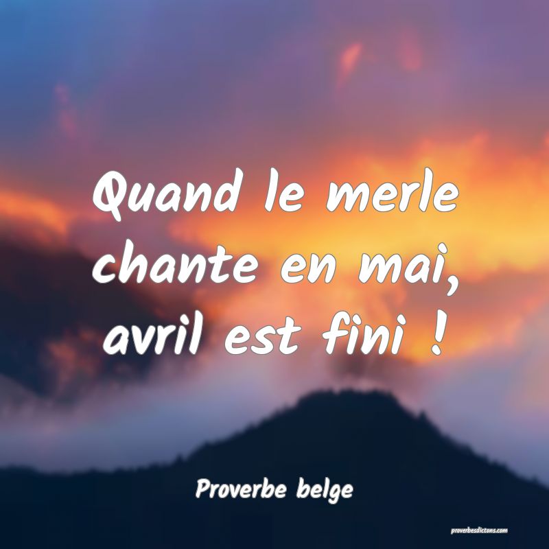  Quand le merle chante en mai, avril est fini !