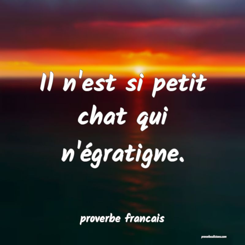  Il n'est si petit chat qui n'égratigne.