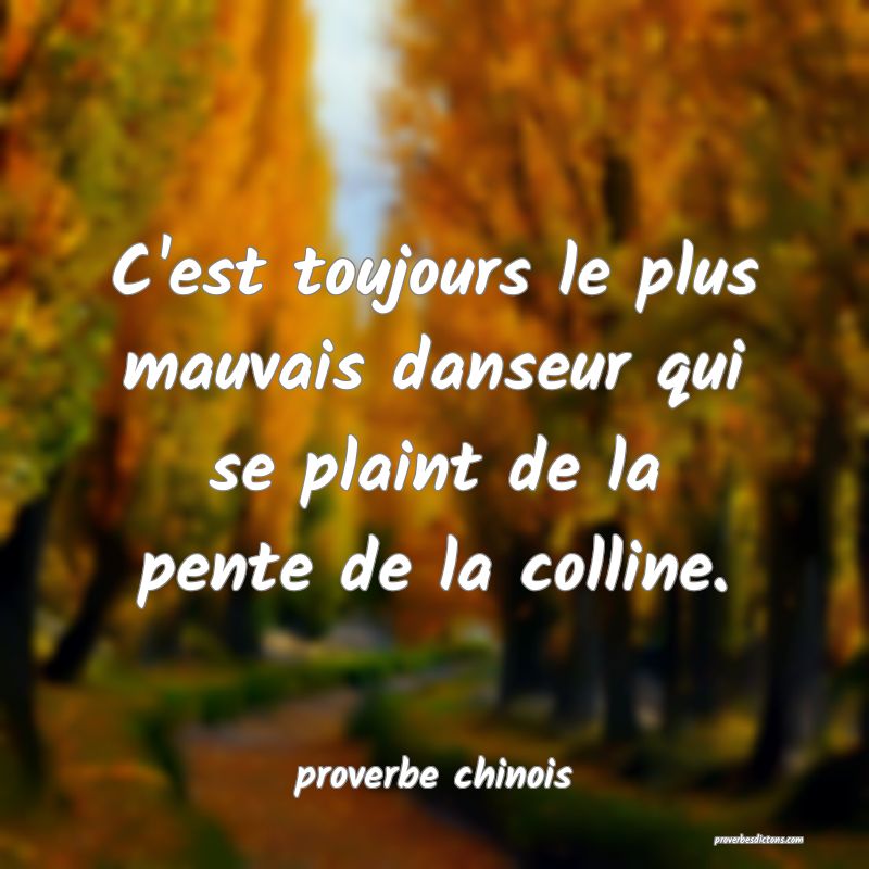  C'est toujours le plus mauvais danseur qui se plaint de la pente de la colline.