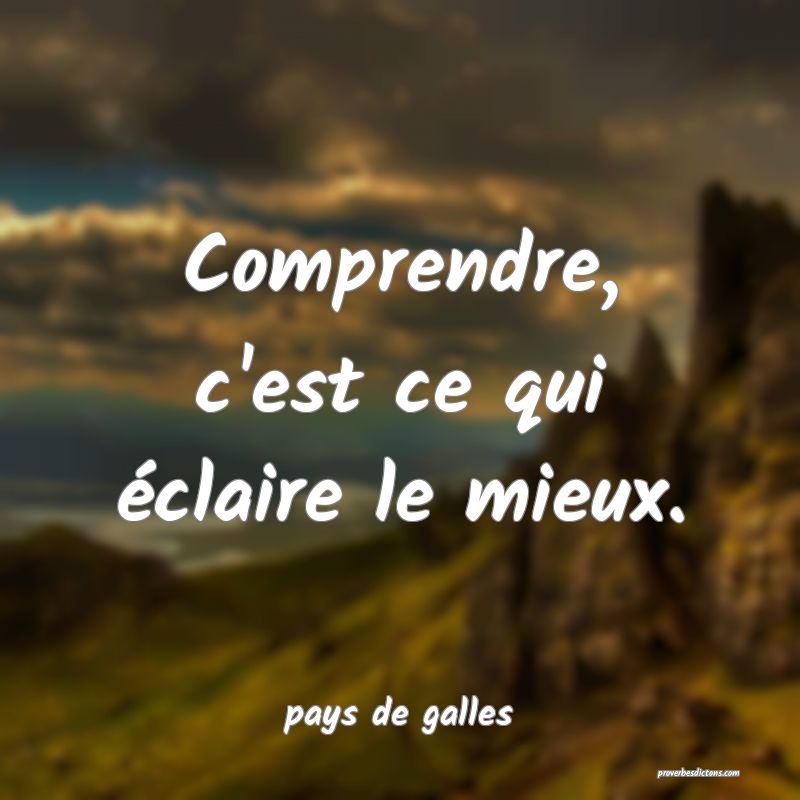  Comprendre, c'est ce qui éclaire le mieux.