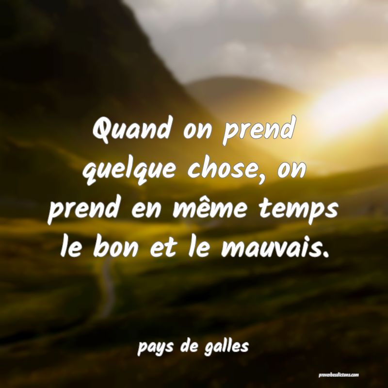  Quand on prend quelque chose, on prend en même temps le bon et le mauvais.
