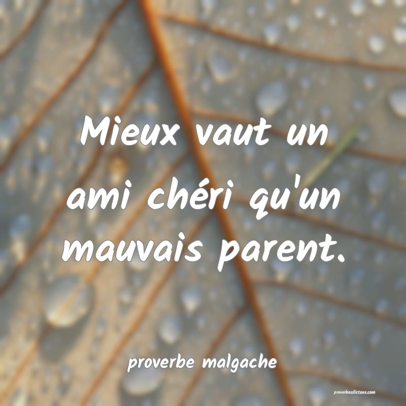 Mieux vaut un ami chéri qu'un mauvais parent.
