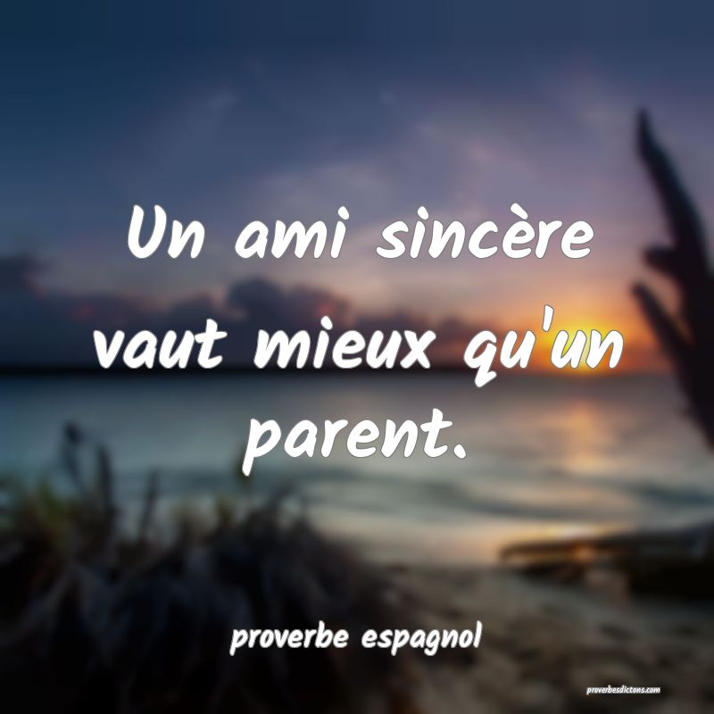 Un ami sincère vaut mieux qu'un parent.