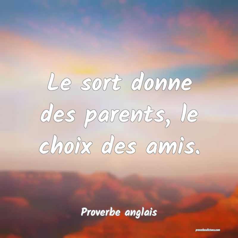  Le sort donne des parents, le choix des amis.