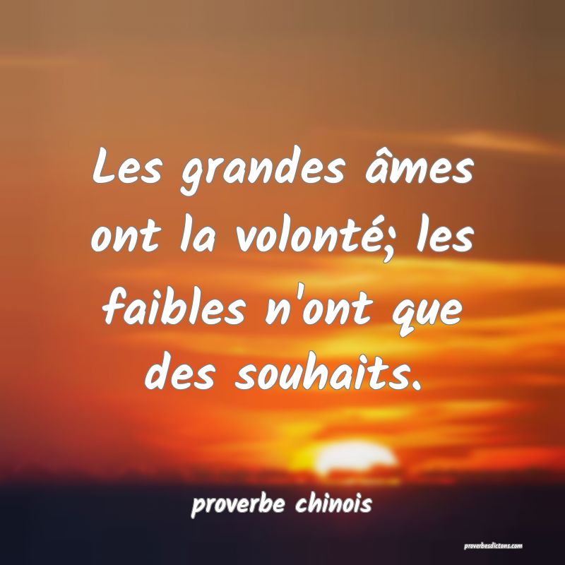  Les grandes âmes ont la volonté; les faibles n'ont que des souhaits.