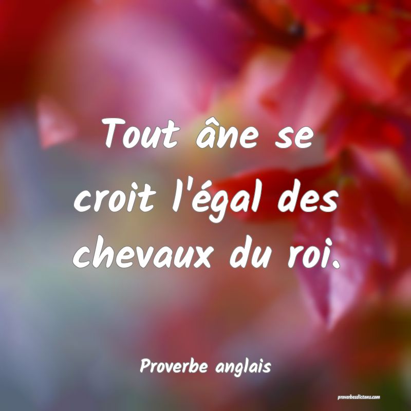  Tout âne se croit l'égal des chevaux du roi.