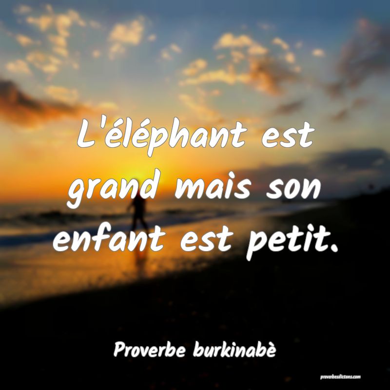  L'éléphant est grand mais son enfant est petit.