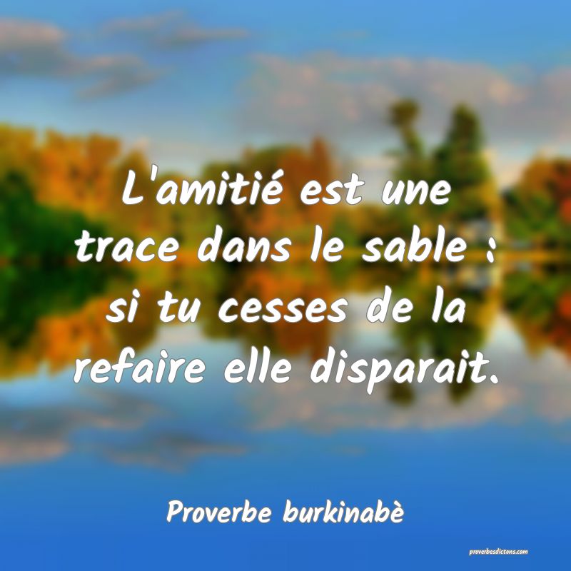  L'amitié est une trace dans le sable : si tu cesses de la refaire elle disparait.