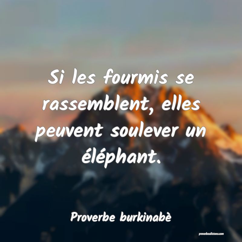  Si les fourmis se rassemblent, elles peuvent soulever un éléphant.