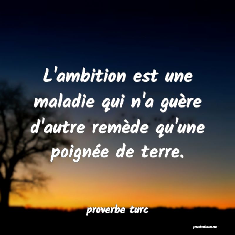  L'ambition est une maladie qui n'a guère d'autre remède qu'une poignée de terre.