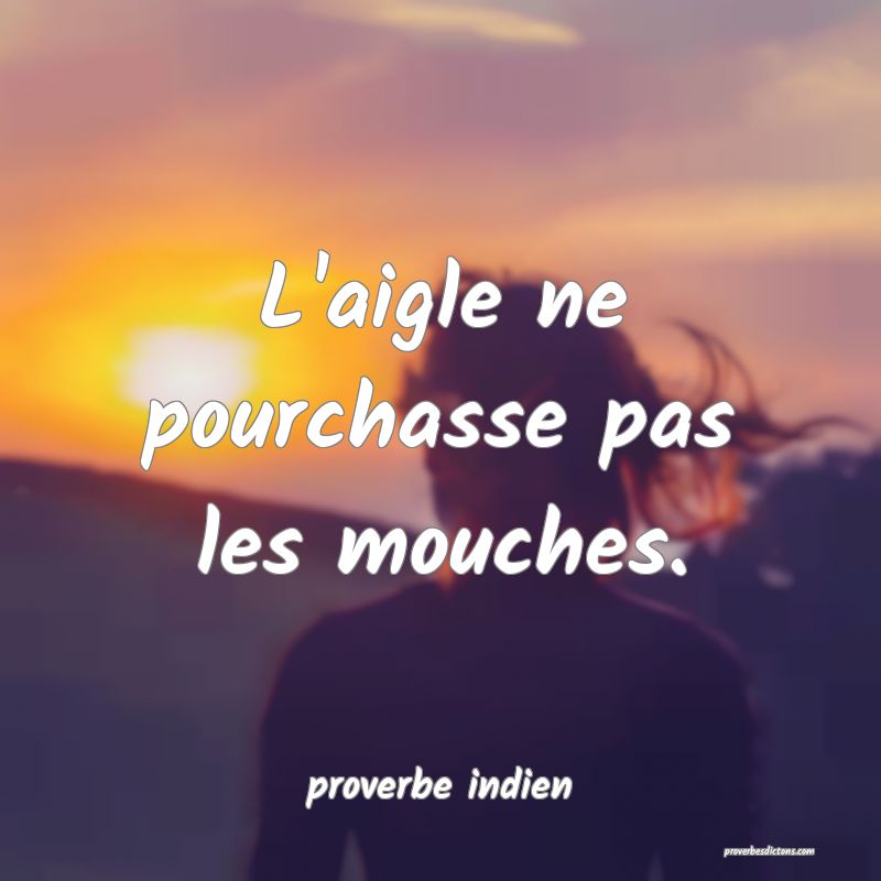  L'aigle ne pourchasse pas les mouches.