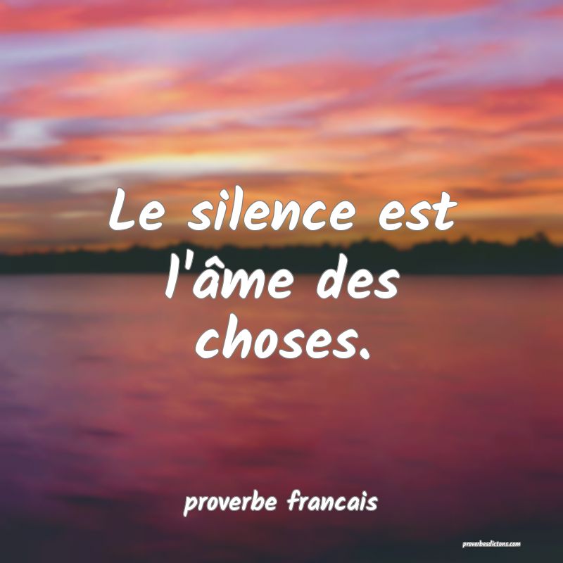  Le silence est l'âme des choses.