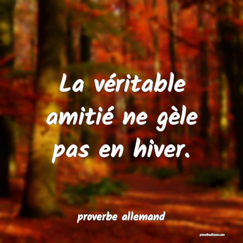  La véritable amitié ne gèle pas en hiver.
