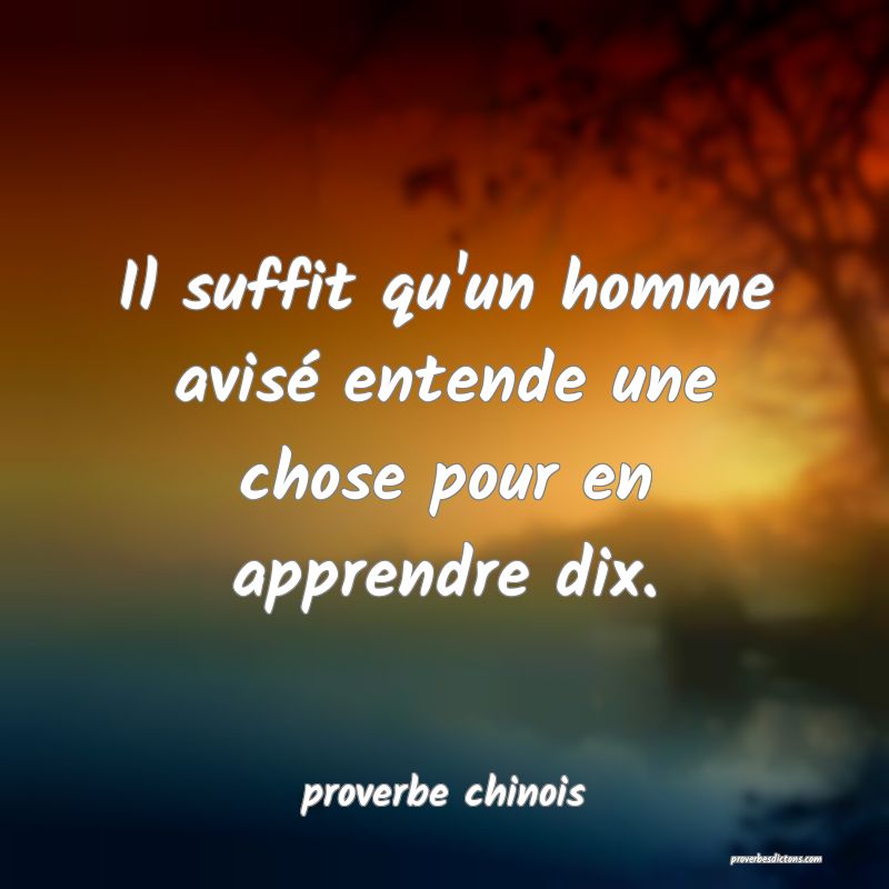  Il suffit qu'un homme avisé entende une chose pour en apprendre dix.
