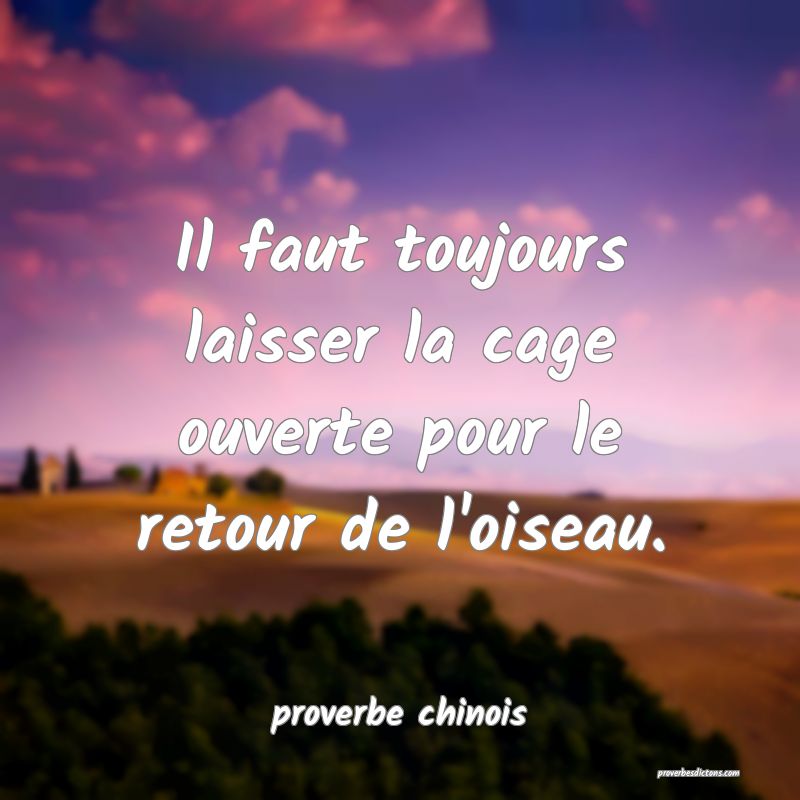  Il faut toujours laisser la cage ouverte pour le retour de l'oiseau.