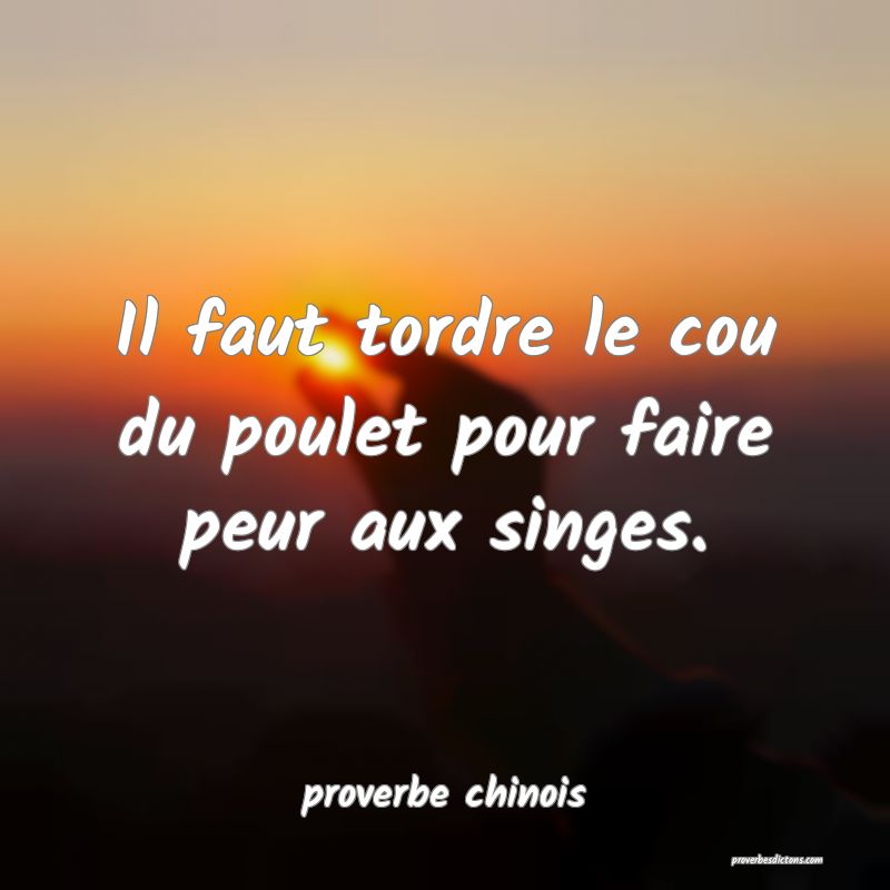  Il faut tordre le cou du poulet pour faire peur aux singes.