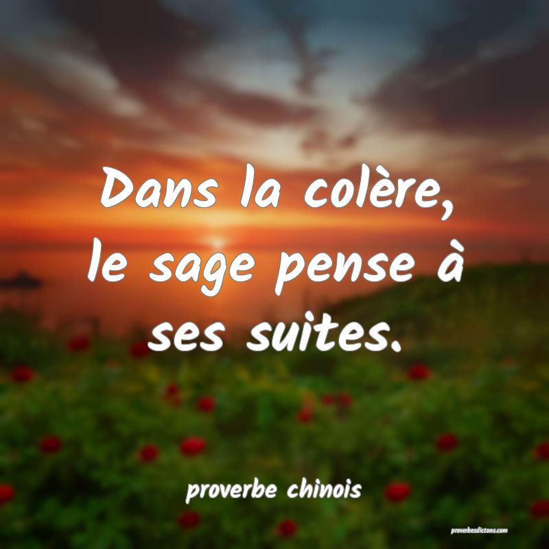  Dans la colère, le sage pense à ses suites.