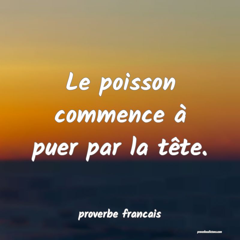  Le poisson commence à puer par la tête.