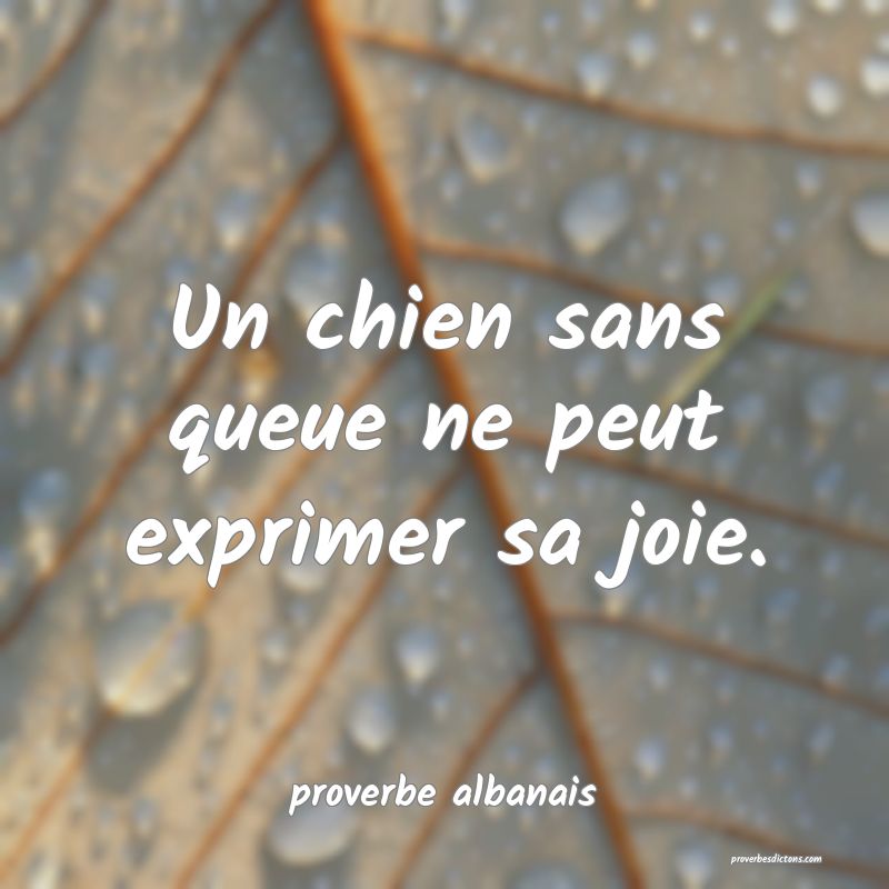  Un chien sans queue ne peut exprimer sa joie.