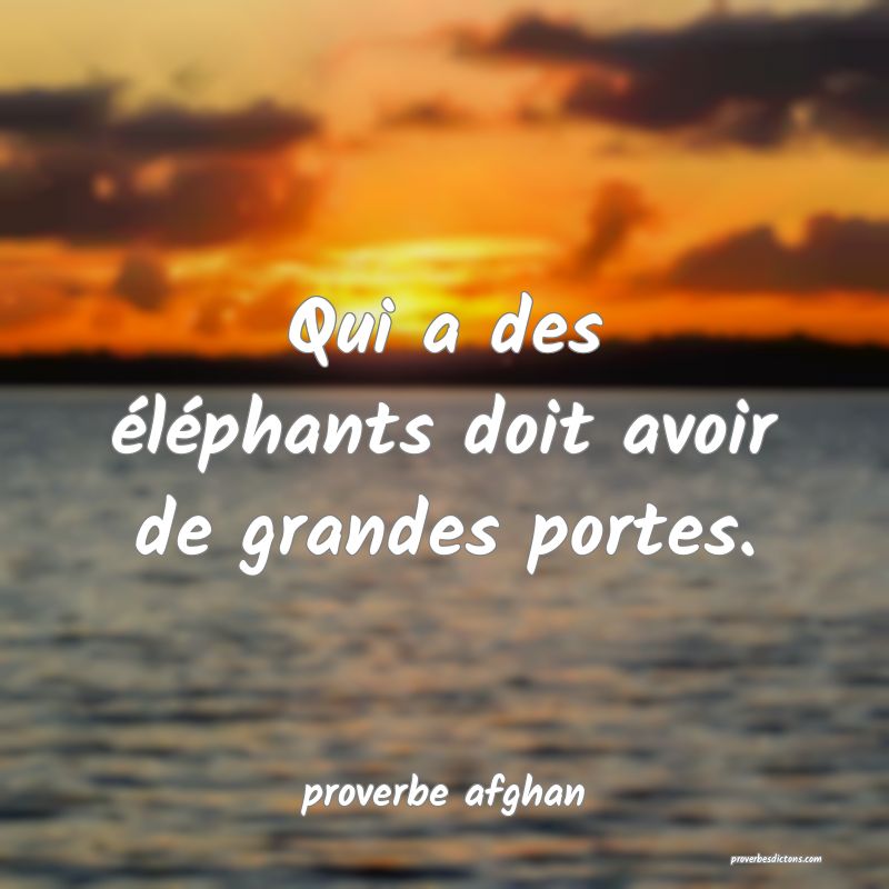 Qui a des éléphants doit avoir de grandes portes.