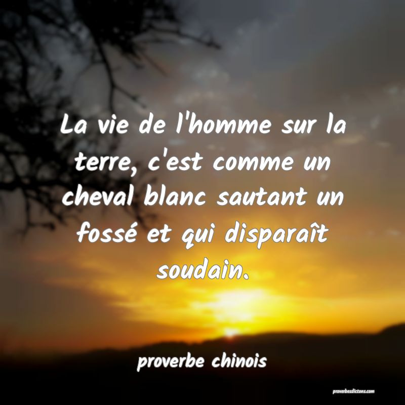  La vie de l'homme sur la terre, c'est comme un cheval blanc sautant un fossé et qui disparaît soudain.