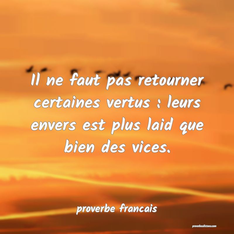  Il ne faut pas retourner certaines vertus : leurs envers est plus laid que bien des vices.
