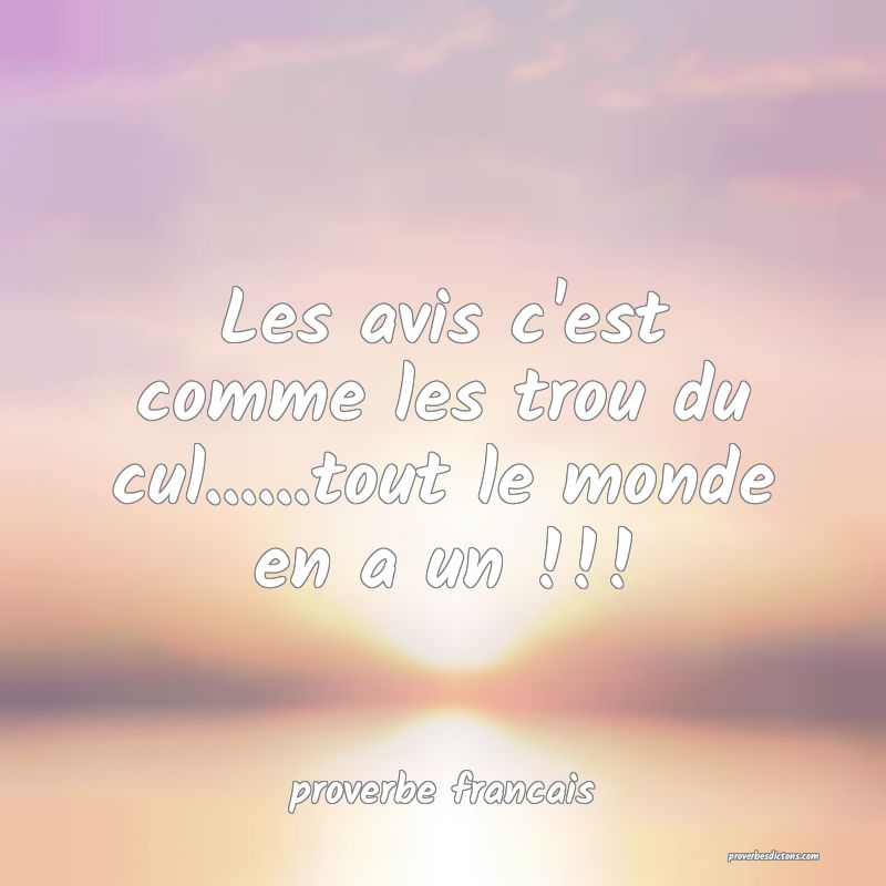  Les avis c'est comme les trou du cul......tout le monde en a un !!!