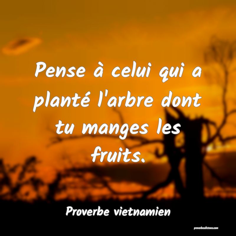  Pense à celui qui a planté l'arbre dont tu manges les fruits.