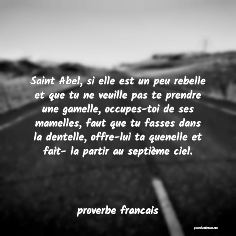  Saint Abel, si elle est un peu rebelle et que tu ne veuille pas te prendre une gamelle, occupes-toi de ses mamelles, faut que tu fasses dans la dentelle, offre-lui ta quenelle et fait- la partir au septième ciel.