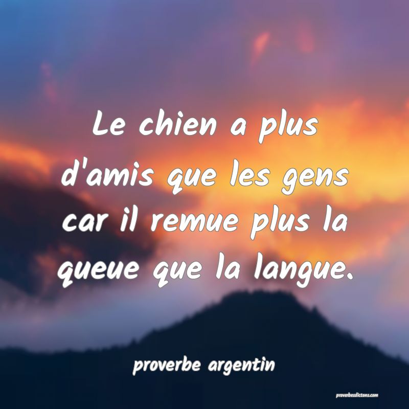  Le chien a plus d'amis que les gens car il remue plus la queue que la langue.