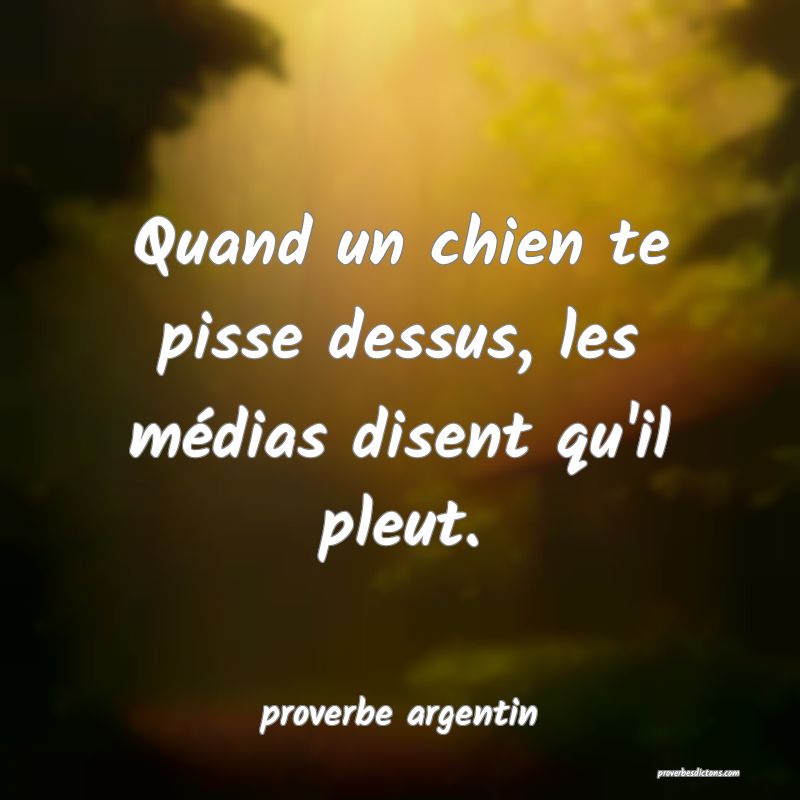  Quand un chien te pisse dessus, les médias disent qu'il pleut.