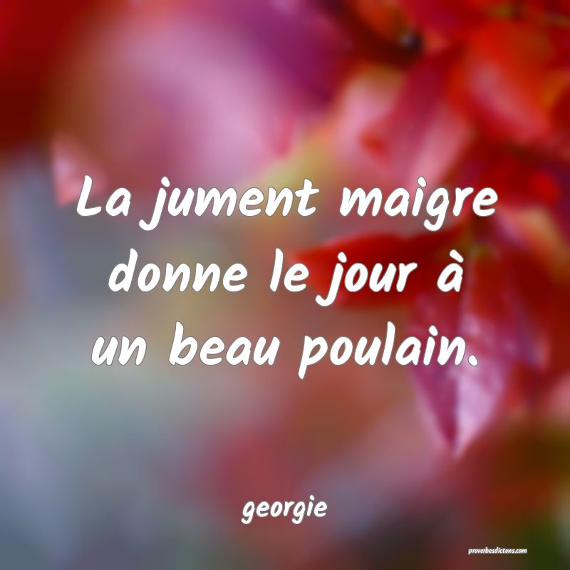  La jument maigre donne le jour à un beau poulain.