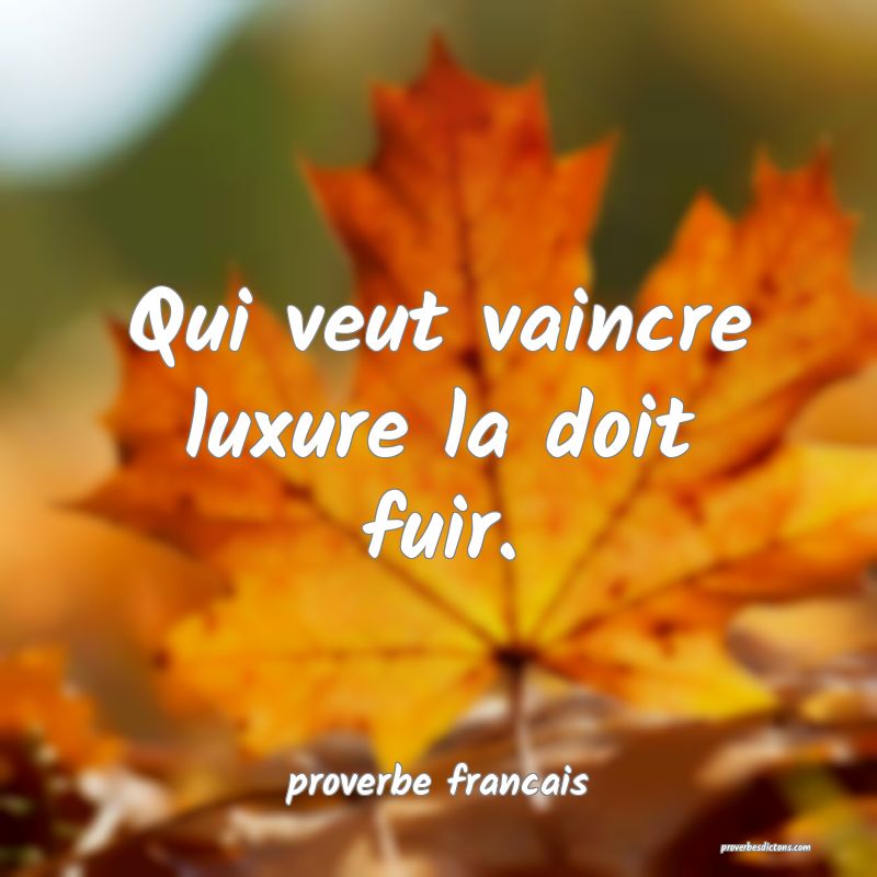  Qui veut vaincre luxure la doit fuir.