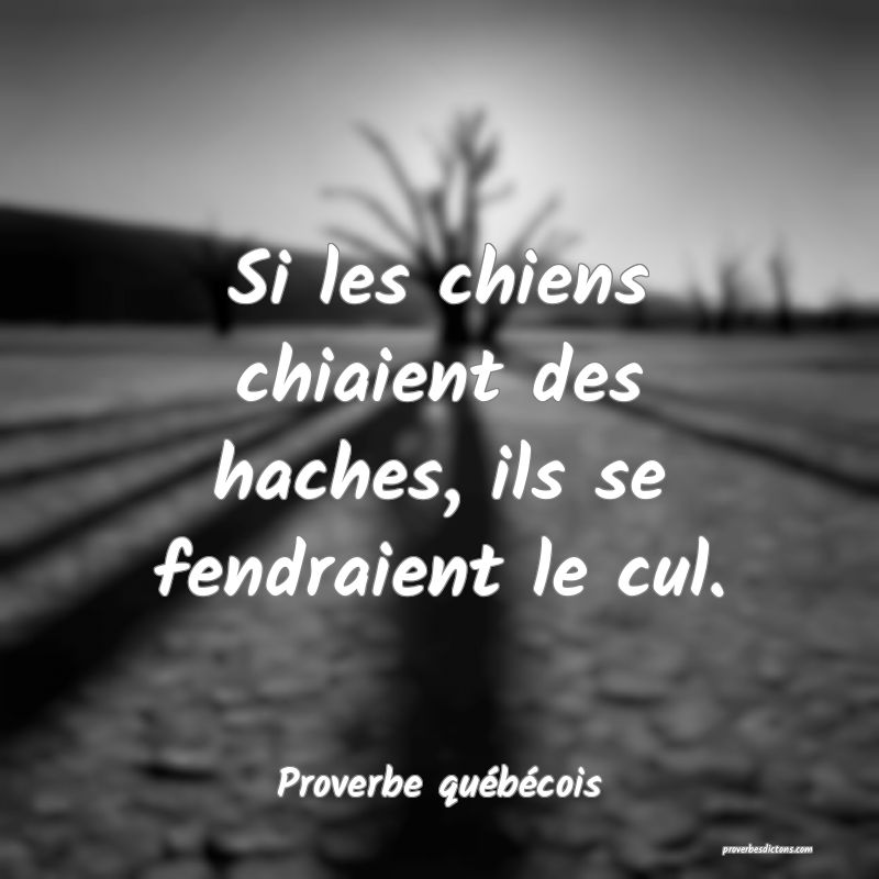  Si les chiens chiaient des haches, ils se fendraient le cul.